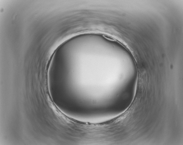 X0000060751534200511141146