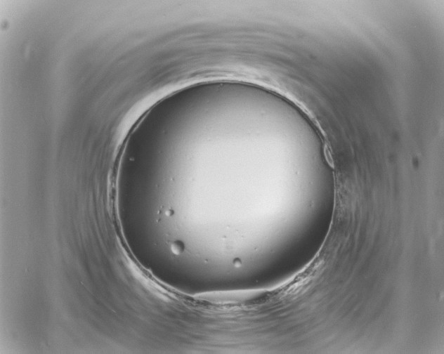 X0000060751535200511141146