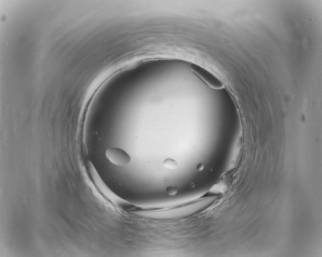 X0000060751536200511141146