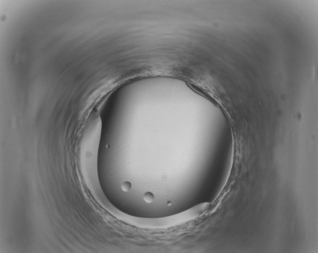 X0000060750001200511171134