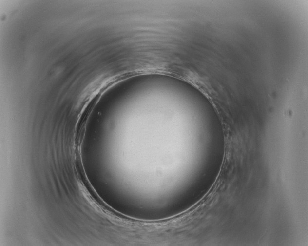 X0000060750002200511171134