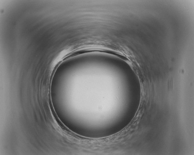 X0000060750003200511171134