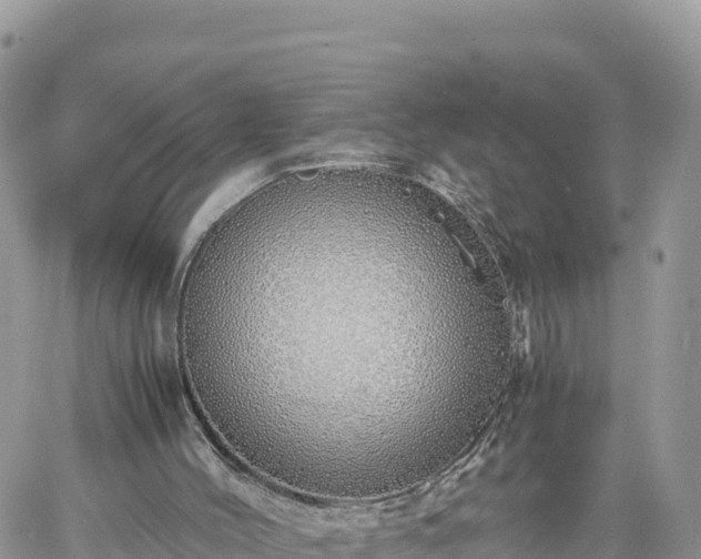 X0000060750004200511171134