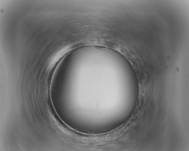 X0000060750005200511171134