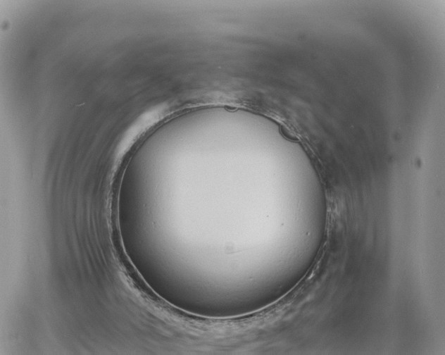 X0000060750006200511171134