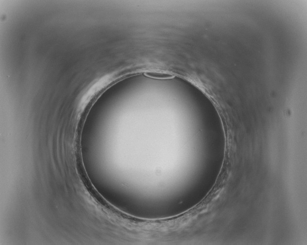 X0000060750007200511171134