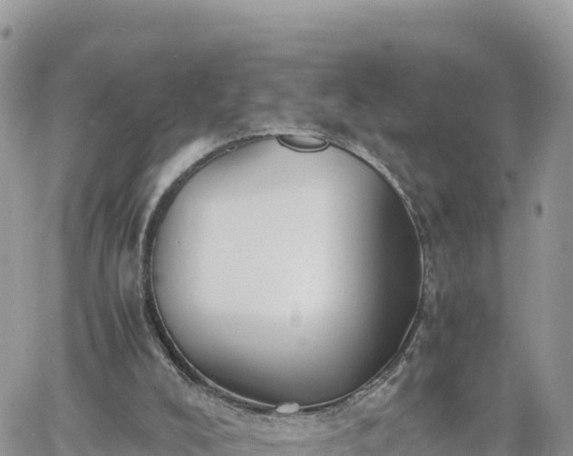 X0000060750008200511171134