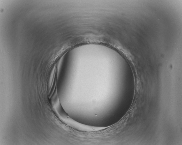 X0000060750009200511171134