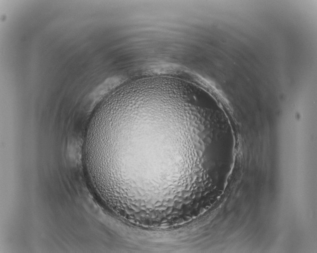 X0000060750010200511171134