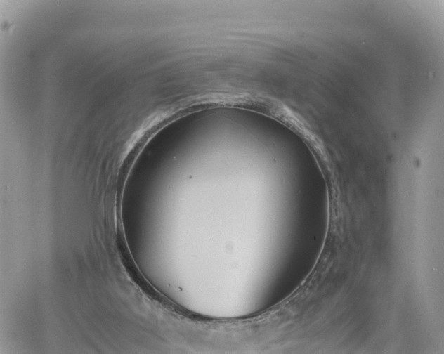 X0000060750011200511171134