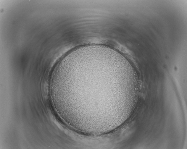 X0000060750012200511171134