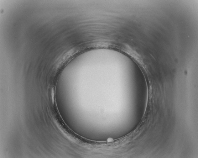 X0000060750013200511171134