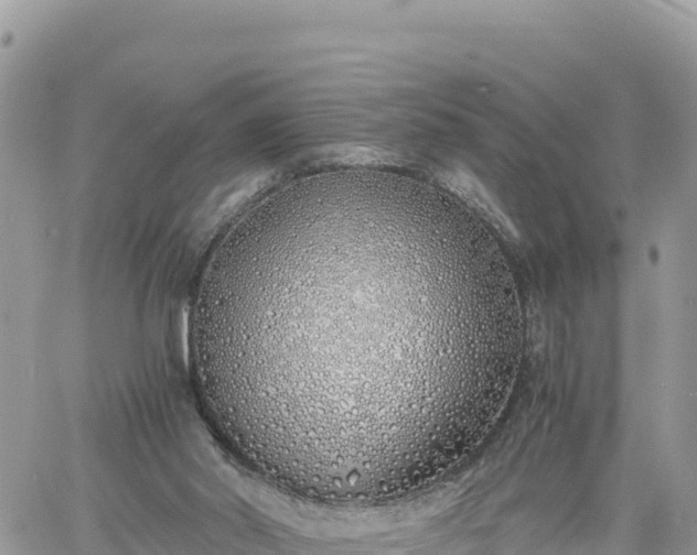 X0000060750014200511171134