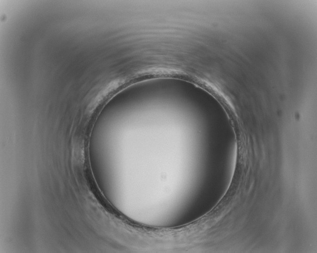 X0000060750015200511171134