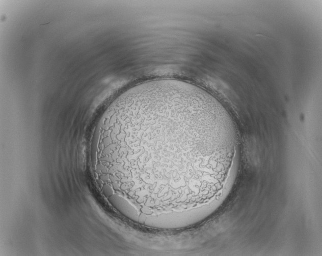 X0000060750016200511171134