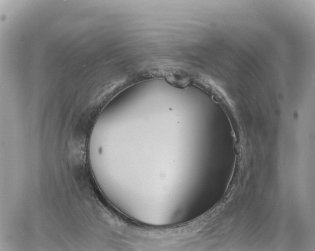 X0000060750017200511171134