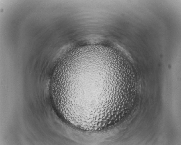 X0000060750018200511171134