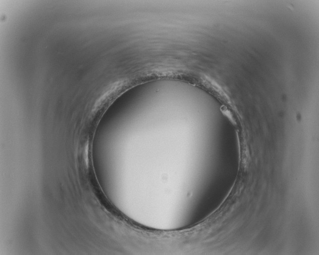 X0000060750019200511171134