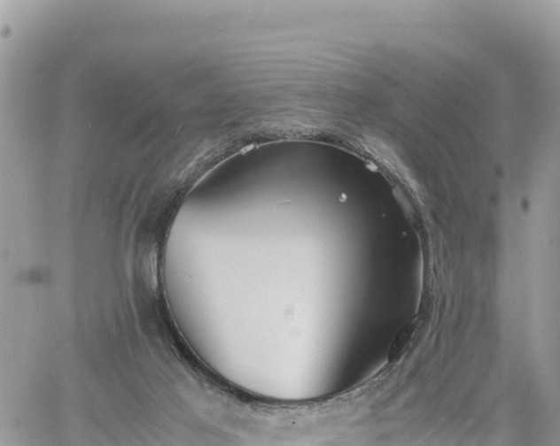 X0000060750021200511171134