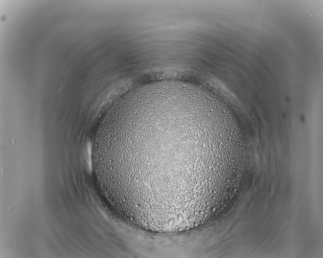 X0000060750022200511171134