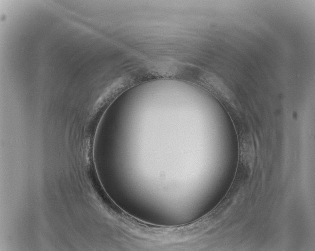 X0000060750023200511171134