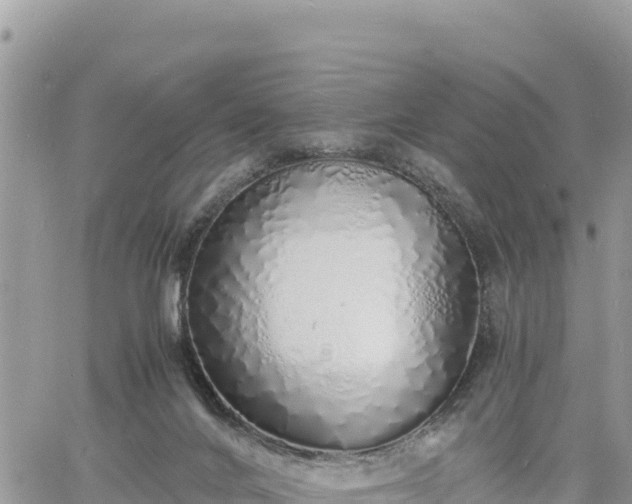 X0000060750024200511171134