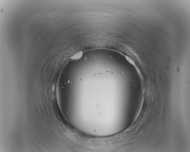 X0000060750025200511171134