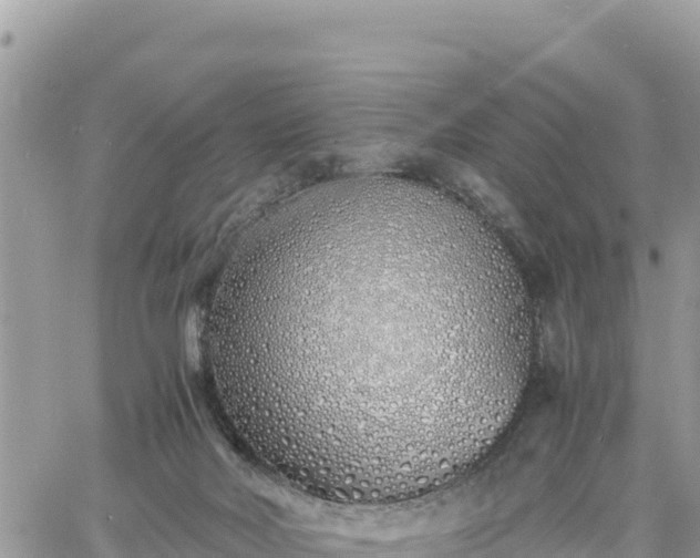 X0000060750026200511171134