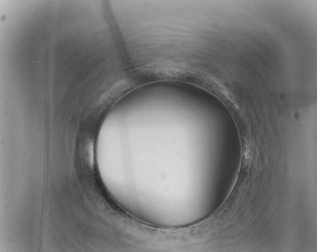 X0000060750027200511171134