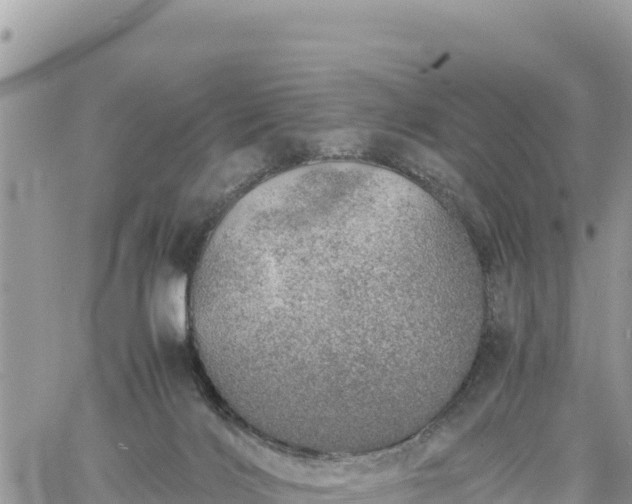 X0000060750028200511171134