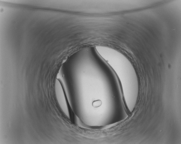 X0000060750029200511171134