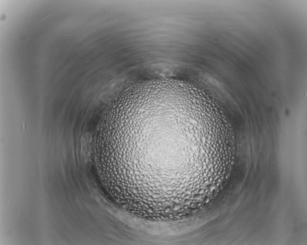 X0000060750030200511171134