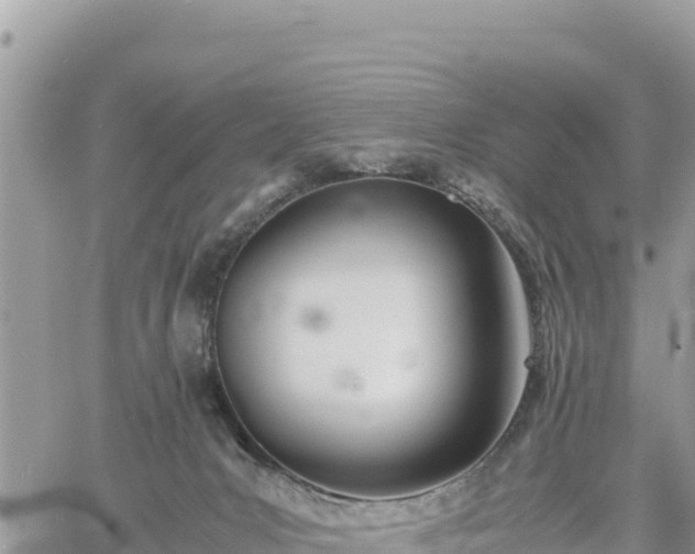 X0000060750031200511171134