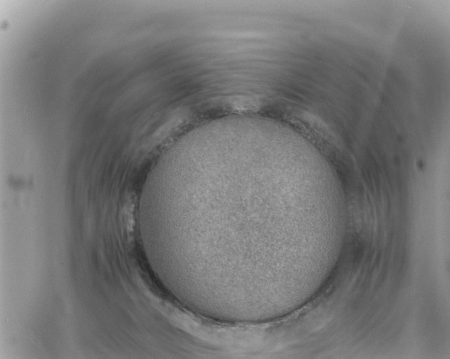 X0000060750032200511171134