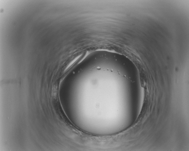 X0000060750033200511171134