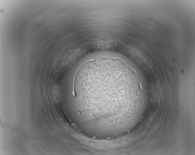 X0000060750034200511171134