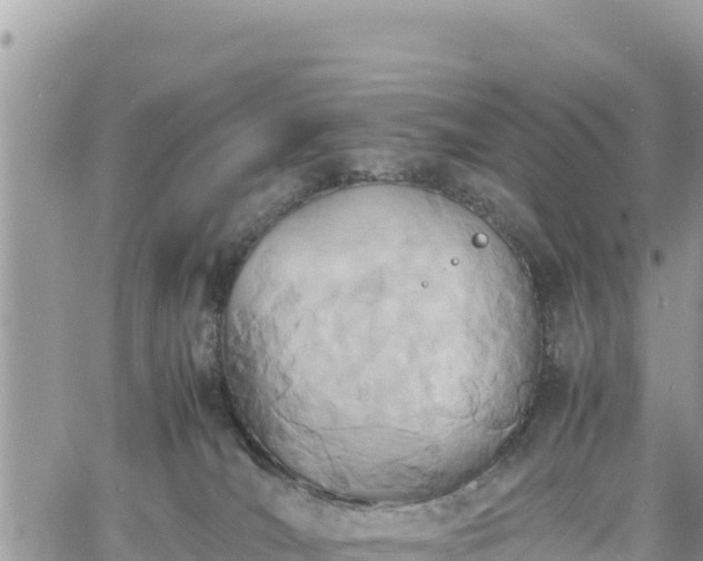 X0000060750036200511171134