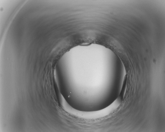 X0000060750037200511171134