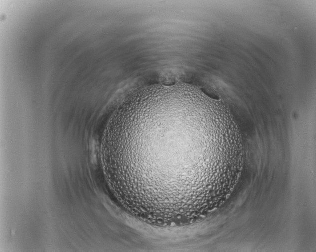 X0000060750038200511171134