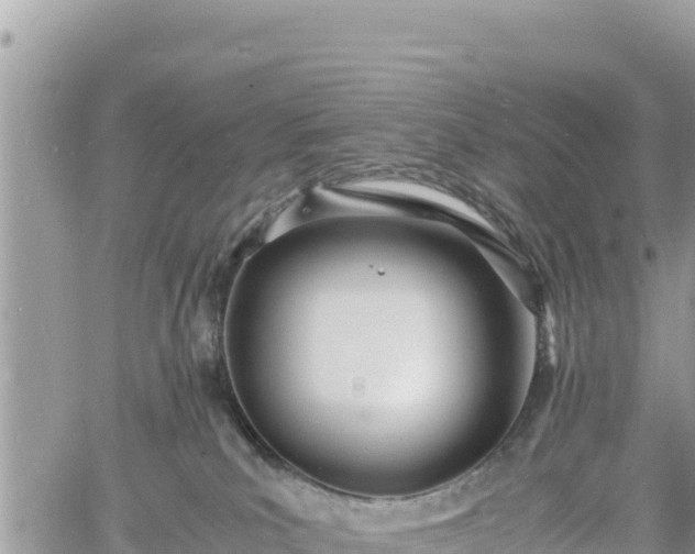 X0000060750039200511171134