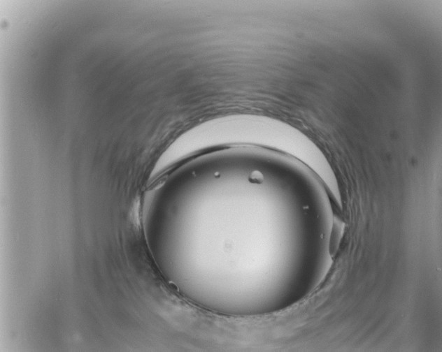 X0000060750041200511171134