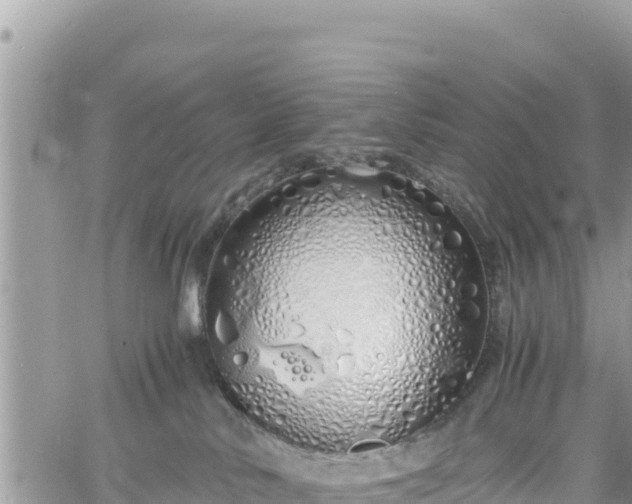 X0000060750042200511171134