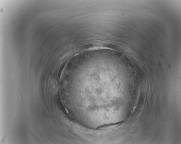 X0000060750043200511171134