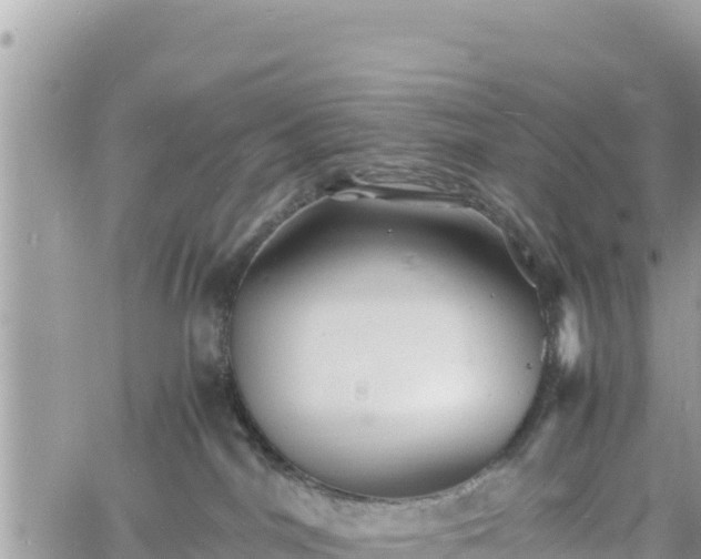 X0000060750044200511171134