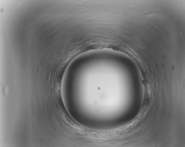 X0000060750045200511171134