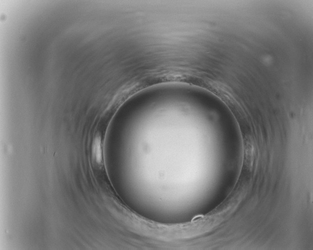 X0000060750046200511171134