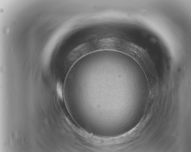 X0000060750047200511171134