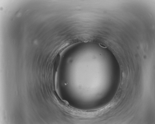 X0000060750048200511171134