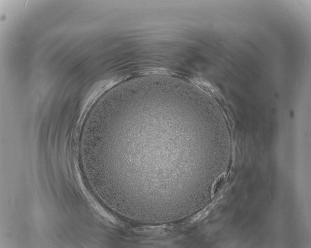 X0000060750049200511171133