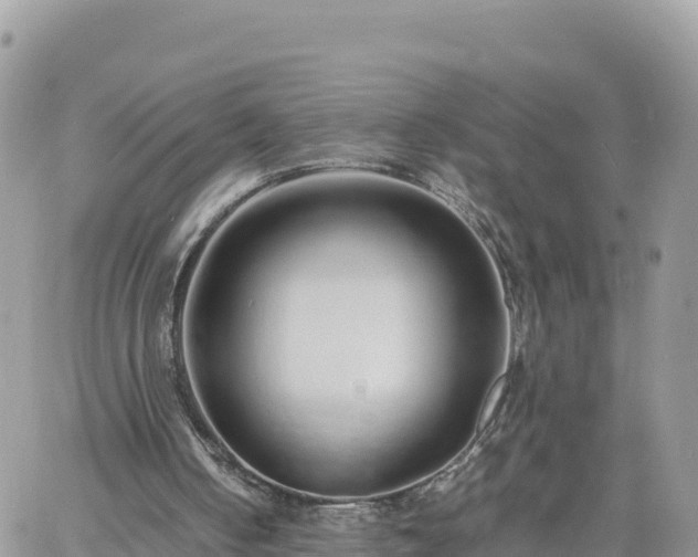 X0000060750050200511171133